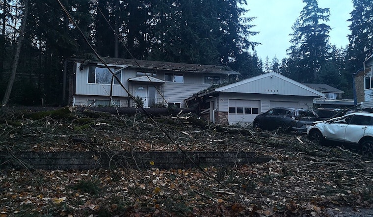 Thousands Without Power in Pacific Northwest Following Destructive Winds