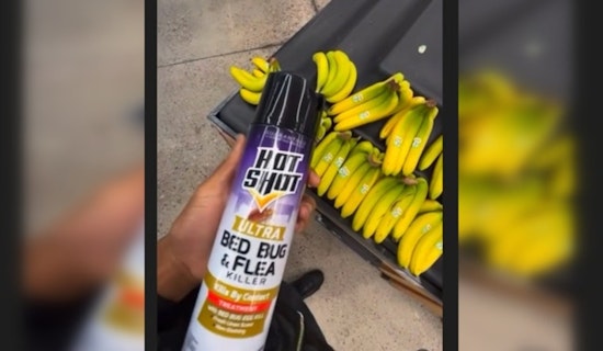 TikTok Prankster Charles Smith Faces Legal Repercussions for Walmart Pesticide Stunt in Mesa