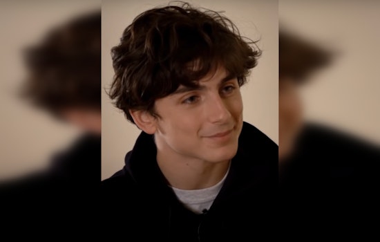 Timothée Chalamet Offers to Foot Bill for Lookalike Contest Fine in NYC's Greenwich Village