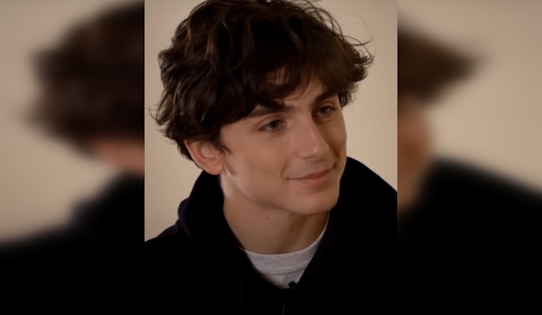 Timothée Chalamet Offers to Foot Bill for Lookalike Contest Fine in NYC's Greenwich Village