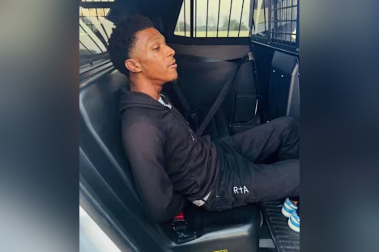 Traffic Stop in Cypress Leads to Arrest of Suspect with Pythons, Gun, and Drugs