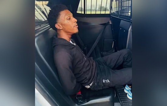 Traffic Stop in Cypress Leads to Arrest of Suspect with Pythons, Gun, and Drugs