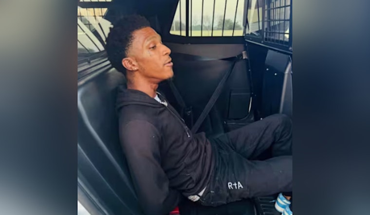 Traffic Stop in Cypress Leads to Arrest of Suspect with Pythons, Gun, and Drugs