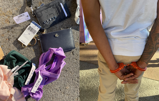 Two Suspected Shoplifters from San Francisco Arrested with $1,500 in Stolen Goods at Vacaville Premium Outlets