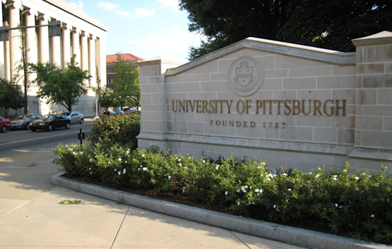 University of Pittsburgh Launches VIHAR, a Trailblazing Virtual Center for Women's Global Health Analytics