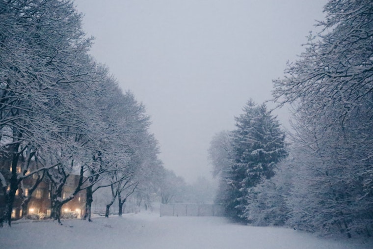 Upstate New York Buried in Snow as New York City Braces for Wintry Mix, Gov. Hochul Deploys Resources for Cleanup