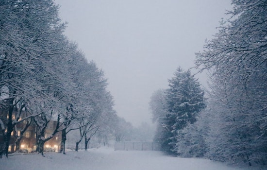 Upstate New York Buried in Snow as New York City Braces for Wintry Mix, Gov. Hochul Deploys Resources for Cleanup