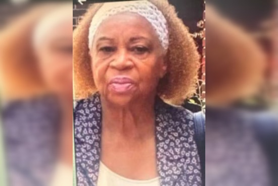 Urgent Mattie's Call Issued for Missing Elderly Woman Shirley Jenkins in DeKalb County