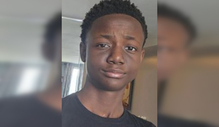 Urgent Search Continues for Missing Chicago Teen Alinani Pugh; Police Seek Public's Help