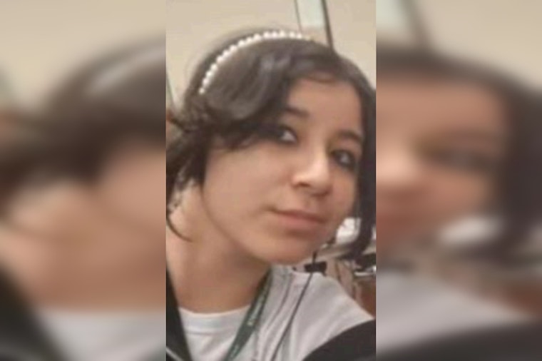 Urgent Search for Missing 15-Year-Old Arielee Cardenas in Chicago's North Mango Area