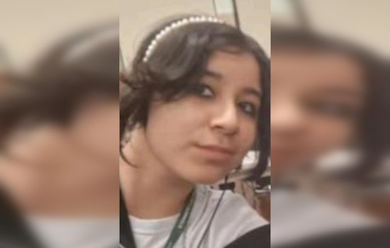 Urgent Search for Missing 15-Year-Old Arielee Cardenas in Chicago's North Mango Area
