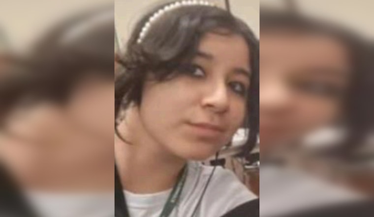Urgent Search for Missing 15-Year-Old Arielee Cardenas in Chicago's North Mango Area