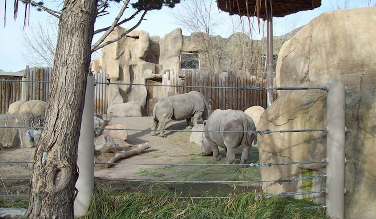 Utah's Hogle Zoo Mourns Loss of Beloved White Rhino George at Age 48