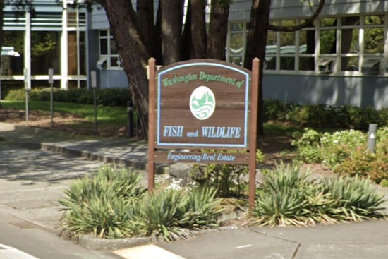 Washington Department of Fish and Wildlife Announces $896,900 in Grants for Conservation and Recreation Projects