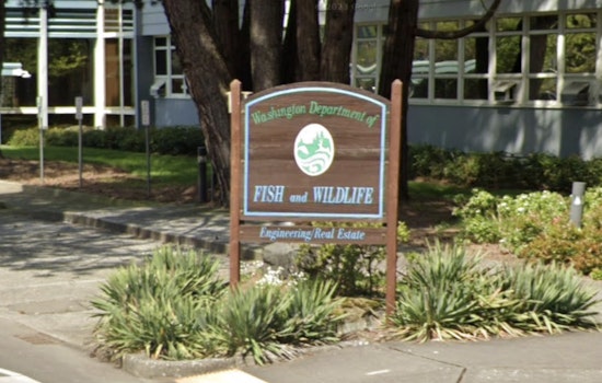 Washington Department of Fish and Wildlife Announces $896,900 in Grants for Conservation and Recreation Projects
