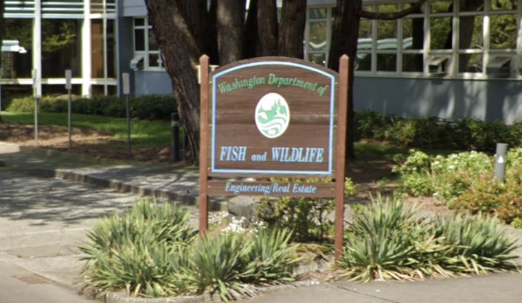 Washington Department of Fish and Wildlife Announces $896,900 in Grants for Conservation and Recreation Projects
