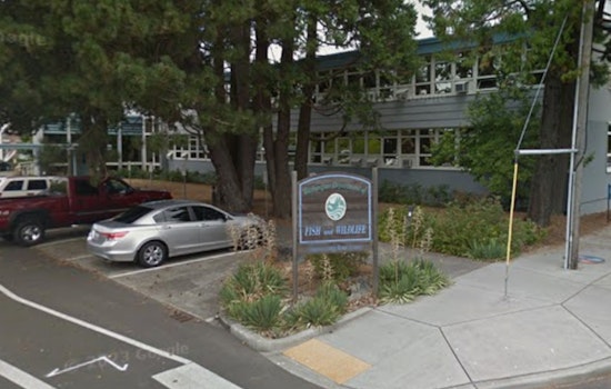 Washington Fish and Wildlife Commission to Deliberate Key Environmental Issues in Cle Elum Gathering