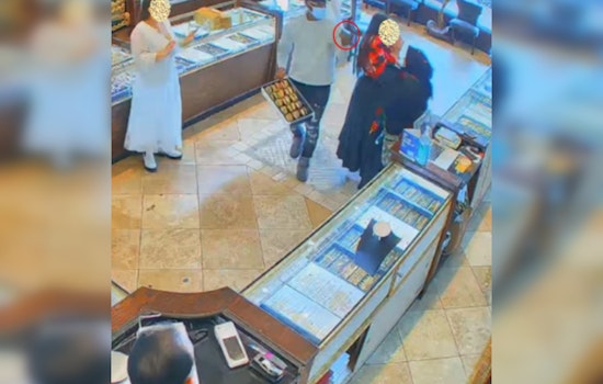 Washington Man, "Ill Will," Sentenced to 19 Years for East Coast Jewelry Store Robberies