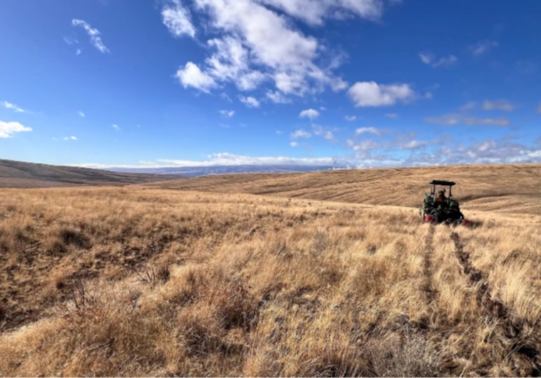 Washington State Rallies to Restore Sagebrush Habitats After Wildfires, Uniting Local Landowners and Conservation Groups