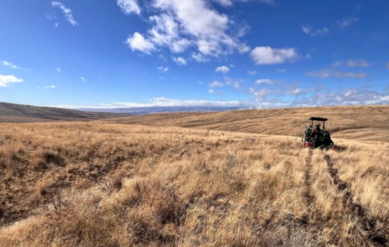 Washington State Rallies to Restore Sagebrush Habitats After Wildfires, Uniting Local Landowners and Conservation Groups