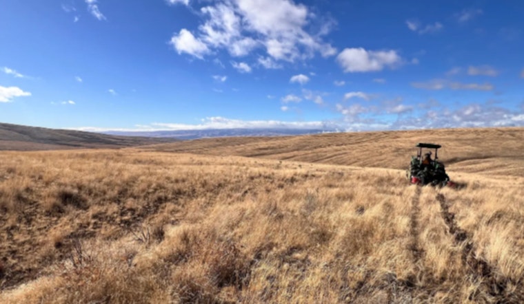 Washington State Rallies to Restore Sagebrush Habitats After Wildfires, Uniting Local Landowners and Conservation Groups