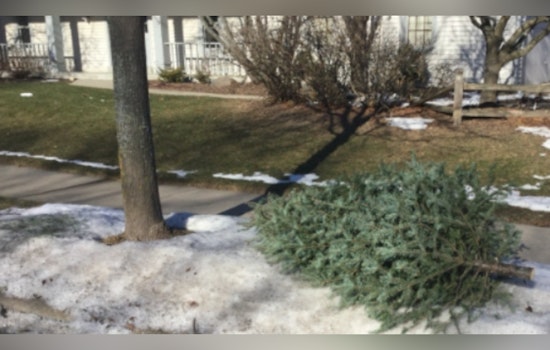 Waukesha Offers Curbside Christmas Tree Pickup Service Throughout January