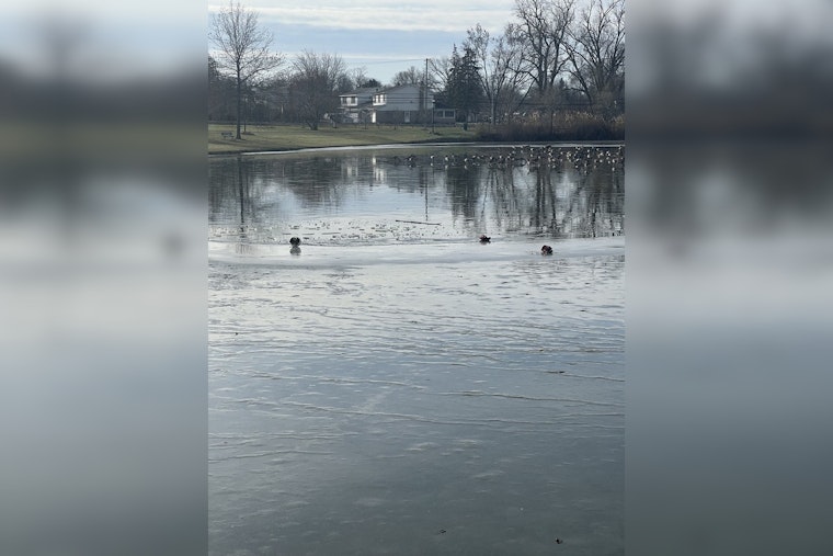 Wayne County Officials Urge Caution on Icy Ponds After Skater's Rescue at Young Patriots Park