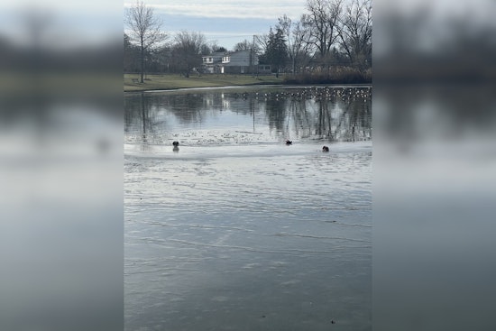Wayne County Officials Urge Caution on Icy Ponds After Skater's Rescue at Young Patriots Park