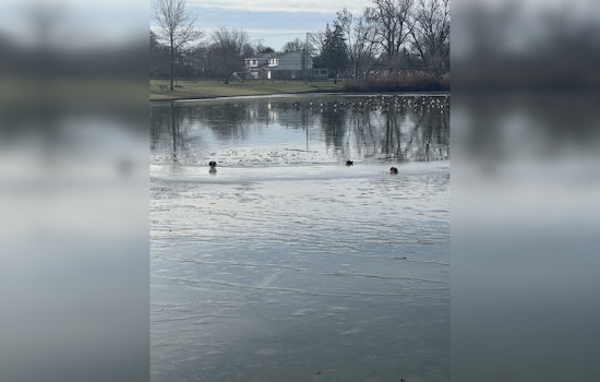 Wayne County Officials Urge Caution on Icy Ponds After Skater's Rescue at Young Patriots Park