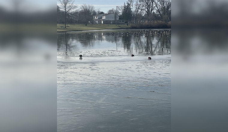 Wayne County Officials Urge Caution on Icy Ponds After Skater's Rescue at Young Patriots Park