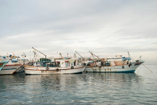 WDFW Launches Salmon Fishing Current Blog for Anglers in Washington State