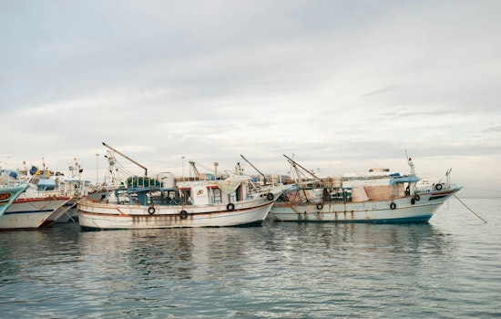 WDFW Launches Salmon Fishing Current Blog for Anglers in Washington State