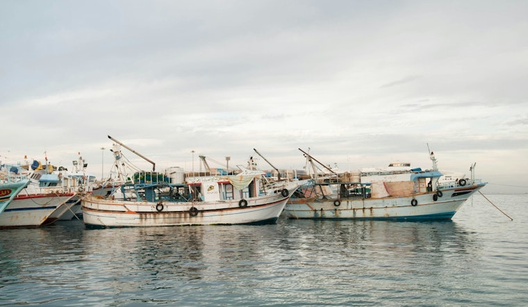 WDFW Launches Salmon Fishing Current Blog for Anglers in Washington State