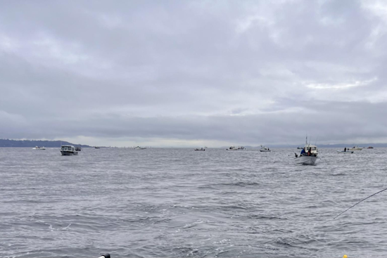WDFW Seeks Enthusiastic Anglers for Puget Sound Sport Fishing Advisory Group