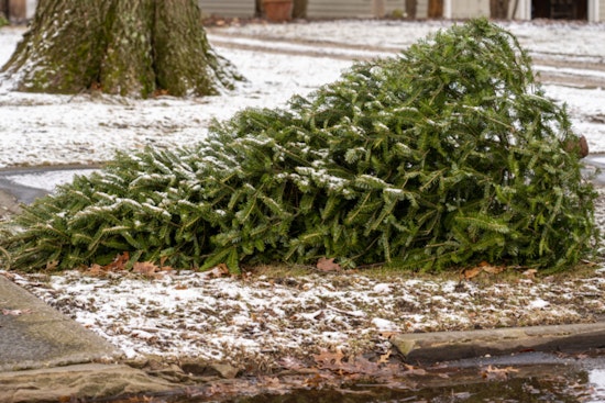 West Allis Offers Eco-Friendly Tips for Disposing of Christmas Trees and Holiday Decorations