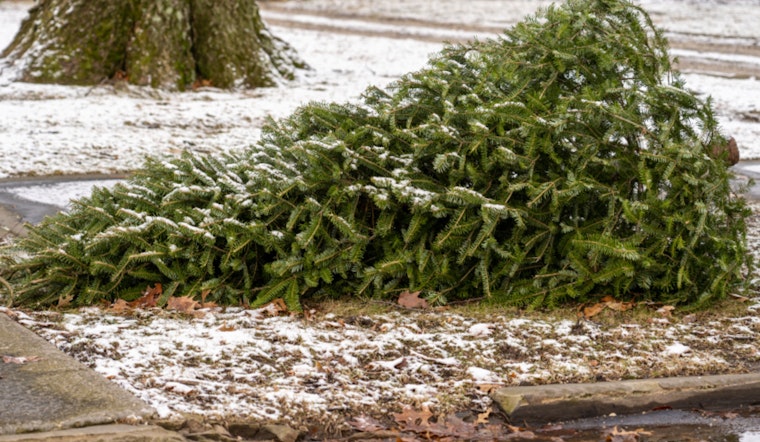West Allis Offers Eco-Friendly Tips for Disposing of Christmas Trees and Holiday Decorations