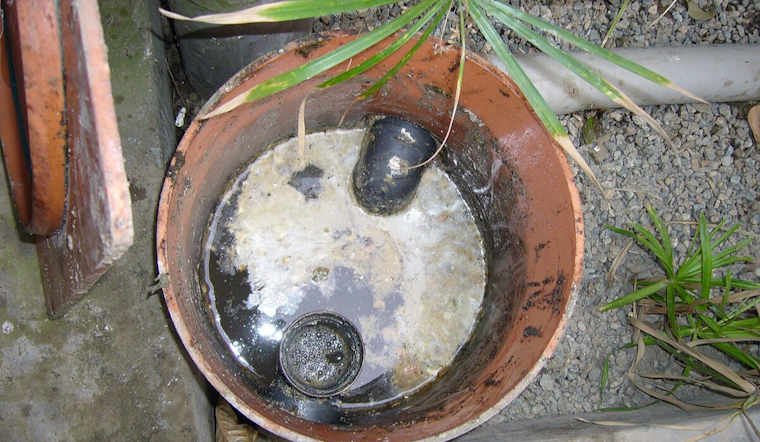White Settlement's Holiday Grease Roundup Aims to Convert Cooking Waste into Biodiesel and Biogas
