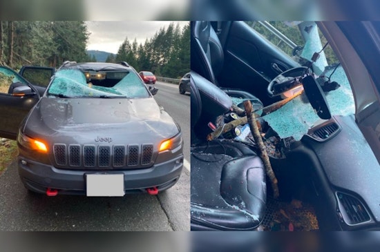 Windstorm Causes Tree to Strike Vehicle on I-5 near Bellingham Injuring Two and Leaving 50,000 Without Power Across Western Washington