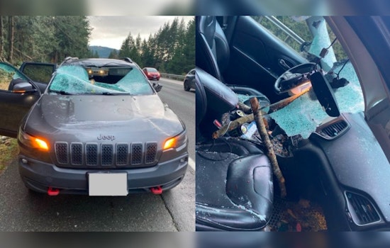 Windstorm Causes Tree to Strike Vehicle on I-5 near Bellingham Injuring Two and Leaving 50,000 Without Power Across Western Washington