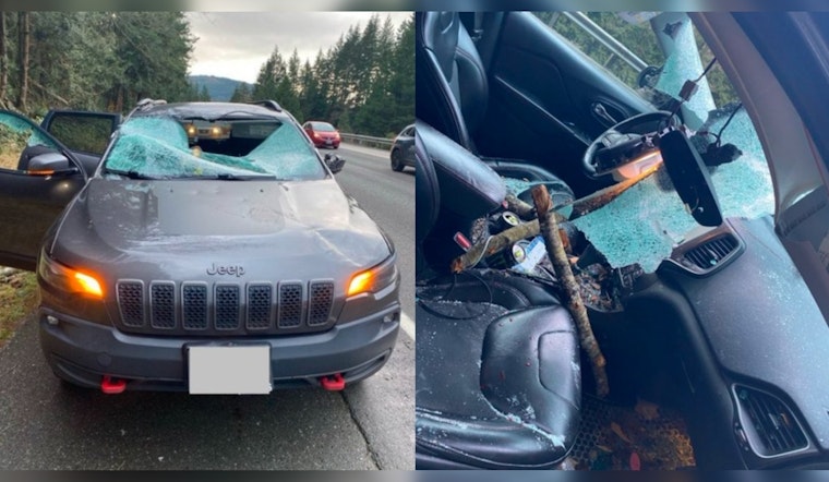 Windstorm Causes Tree to Strike Vehicle on I-5 near Bellingham Injuring Two and Leaving 50,000 Without Power Across Western Washington