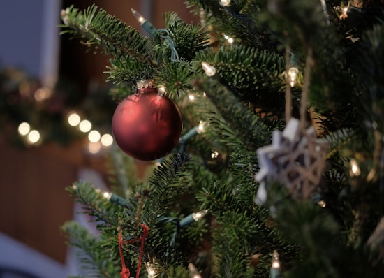 Yolo County Encourages Post-Holiday Tree Recycling and Promotes Eco-Friendly Waste Disposal