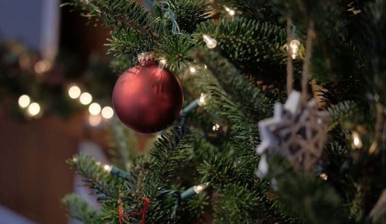 Yolo County Encourages Post-Holiday Tree Recycling and Promotes Eco-Friendly Waste Disposal