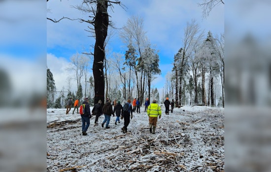 31-Year-Old Woman Found Dead After Extensive Search in New Hampshire Woodlands