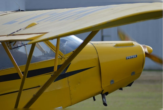 72-Year-Old Pilot from Canton Miraculously Unscathed After Plane Crashes into Trees in Livingston County