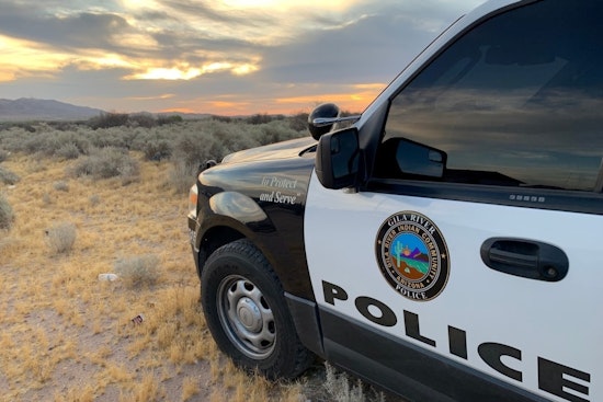 Arizona Authorities Offer $6,500 Reward in Gila Bend Desert Bighorn Sheep Killing Investigation