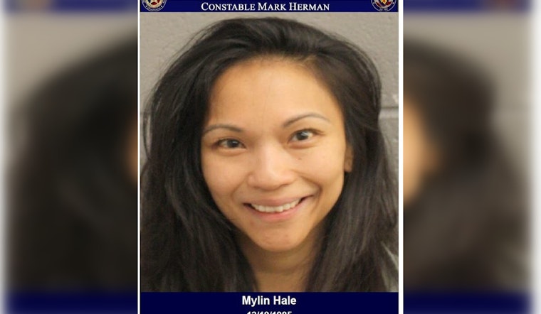 Alleged Drunk Driver Arrested After Nearly Hitting State Trooper on West Lake Houston Parkway