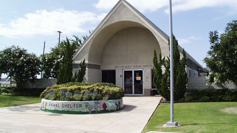 Allen to Host Low-Cost Vaccine Clinic Amid Raccoon Distemper Outbreak Endangering Pets