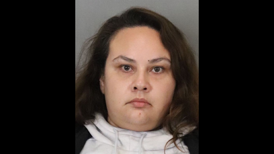 Amazon Delivery Van Heist in Palo Alto Leads to San Jose Arrest, Suspect Caught Red-Handed at Warehouse