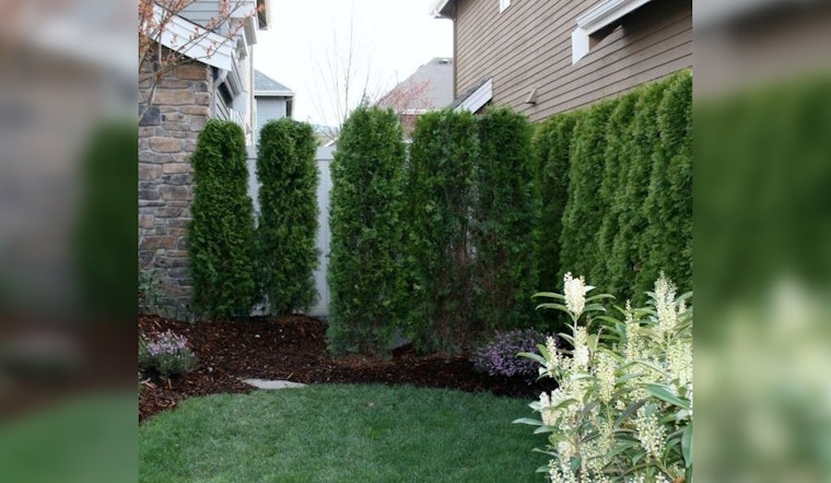 Apple Valley Mandates Concealment of Outdoor Storage to Boost Neighborhood Aesthetics
