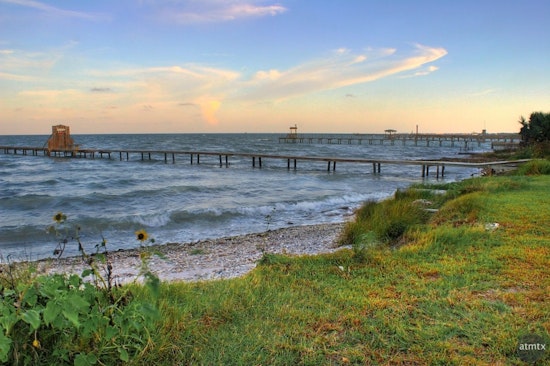 Aransas Bay Welcomes Return of Oyster Harvesting as TPWD Reopens Key Areas